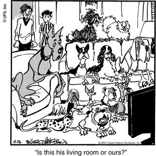 marmaduke